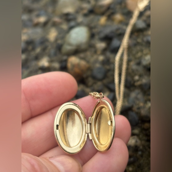 Vintage Porcelain Butterfly Locket Necklace • Gold Tone Oval Keepsake Pendant - Picture 3 of 11